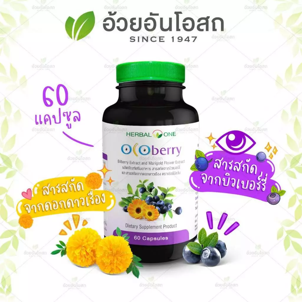 Ocoberry Bilberry Extract บิลเบอร์รี่ บำรุงสายตา วิตามินบำรุงดวงตา อ้วยอันโอสถ 60 แคปซูล ของแท้100% thumbnail 7