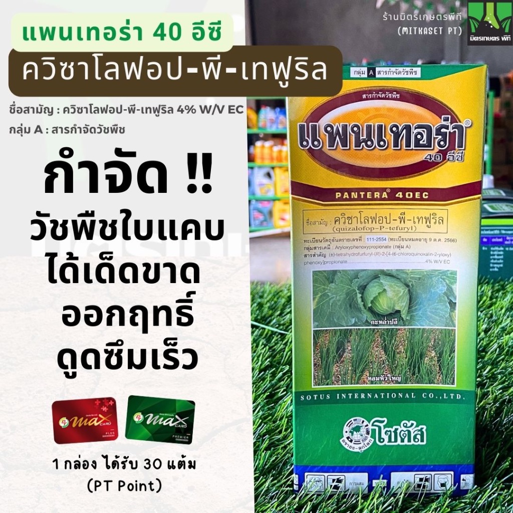 แพนเทอร่า 1 ลิตร ยาฆ่าหญ้า ยาฉีดหญ้า ใบแคบ ยาคุมหญ้า ใน ผัก มันสำปะหลัง ยาสูบ พริก ควิซาโลฟอป - พี -