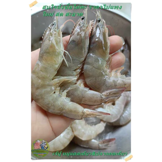 กุ้งดองซีอิ้วเกาหลี ใหม่ สด สะอาด แถมน้ำจิ้มซีฟูด (เจ๊ปูหมูแดดเดียว&ปลาแดดเดียว)