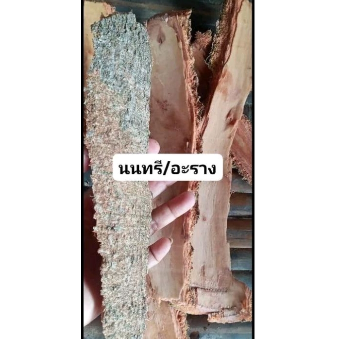 เปลือกสดต้นนนทรี อะราง 1,000 กรัม 100 บาท