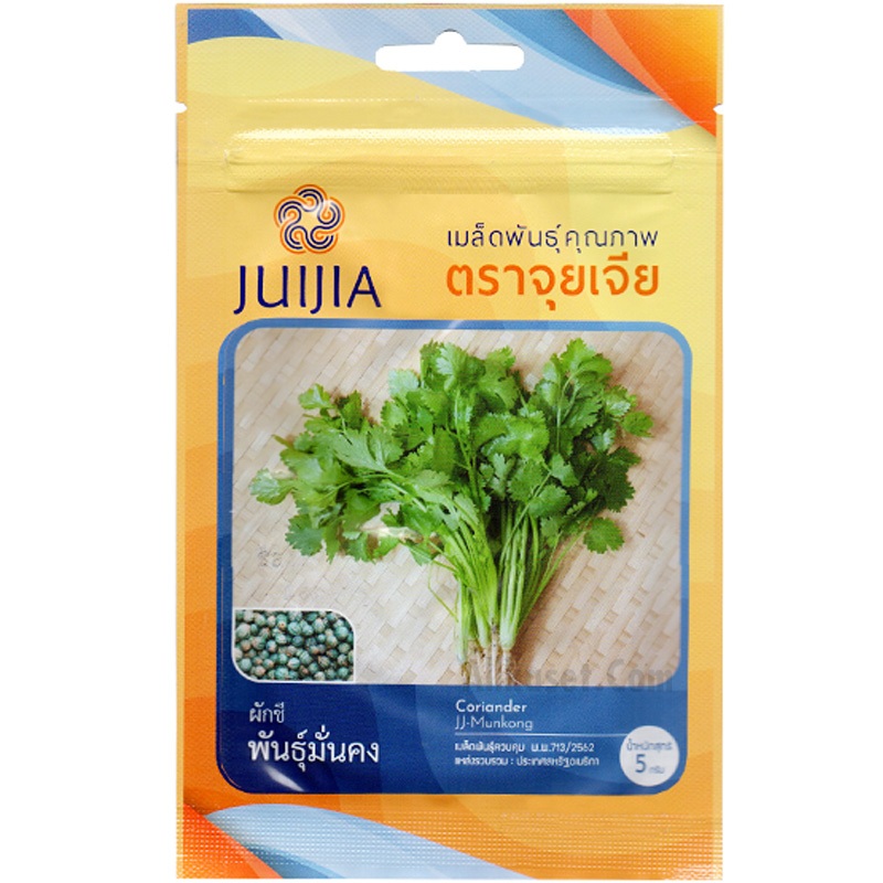 เมล็ดผักชี พันธุ์มั่นคง ตราจุยเจีย