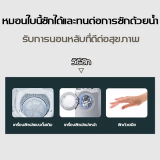 1000g หมอนหนุน หมอนโรงแรม5ดาว นอนหนุนเพื่อสุขภาพ หมอน กันไรฝุ่น หมอนข้าง ปลอกหมอนข้าง สีขาว พร้อมกลิ่นไม้วอร์มวู