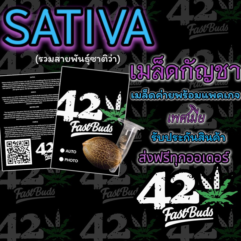 เมล็ดกัญชาค่าย(เพศเมีย)รวมสายพันธุ์(SATIVA) รับประกันสินค้าคุณภาพ มาพร้อมแพ็กเกจใหม่ ส่งฟรี แถมฟรีปุ๋ย เมล็ดทานตะวัน