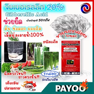 จิ๊บเม็ด จิบเบอเรลลิน จิบเบอเรลลิก แอซิด ชนิดเม็ด Gibberellic Acid 20%(GA3) เม็ดฟู่ละลายน้ำ100% / ((มีหลายตัวเลือก))