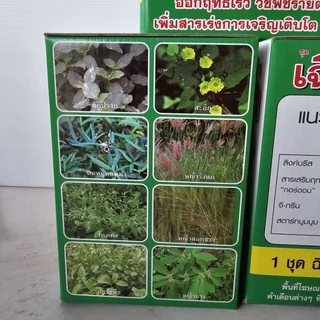 เฉียบขาด 4 พลัง รุ่นใหม่ล่าสุด (เพิ่มแมกนีเซียม) เสริมความแข็งแรงให้พืช เขียวไว ลำต้นตั้ง ฟื้นตัวไว รากแตกง่าย ทนต่อโรค