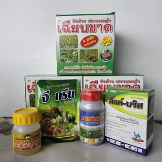 เฉียบขาด 4 พลัง รุ่นใหม่ล่าสุด (เพิ่มแมกนีเซียม) เสริมความแข็งแรงให้พืช เขียวไว ลำต้นตั้ง ฟื้นตัวไว รากแตกง่าย ทนต่อโรค