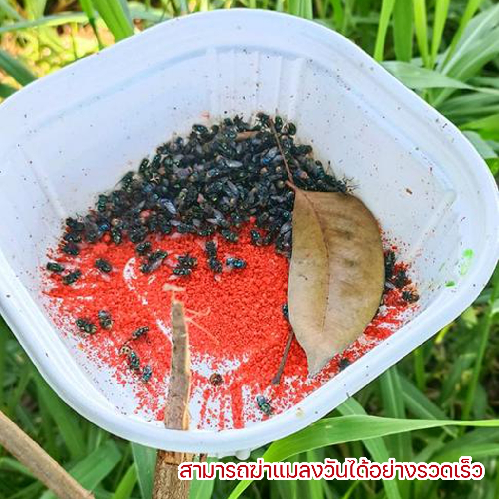 ผงไข่เน่า เหยื่อกำจัดแมลงวัน ฆ่าแมลงวันขั้นเทพ ใช้ฆ่าแมลงวันบ้าน ตราไก่