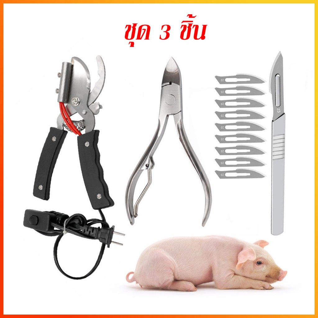 ลูกหมู เครื่องมือลูกสุกร ชุด 3 ชิ้น กรรไกรตัดหางไฟฟ้า หมู กรรไกรตัดหาง กรรไกรตัดฟันหมู มีดตอน มีดด้ามและใบมีด10ใบ