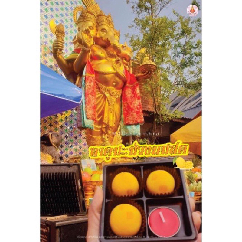 ขนมไหว้พระพิฆเนศ ลาดูมะม่วงนมสด 