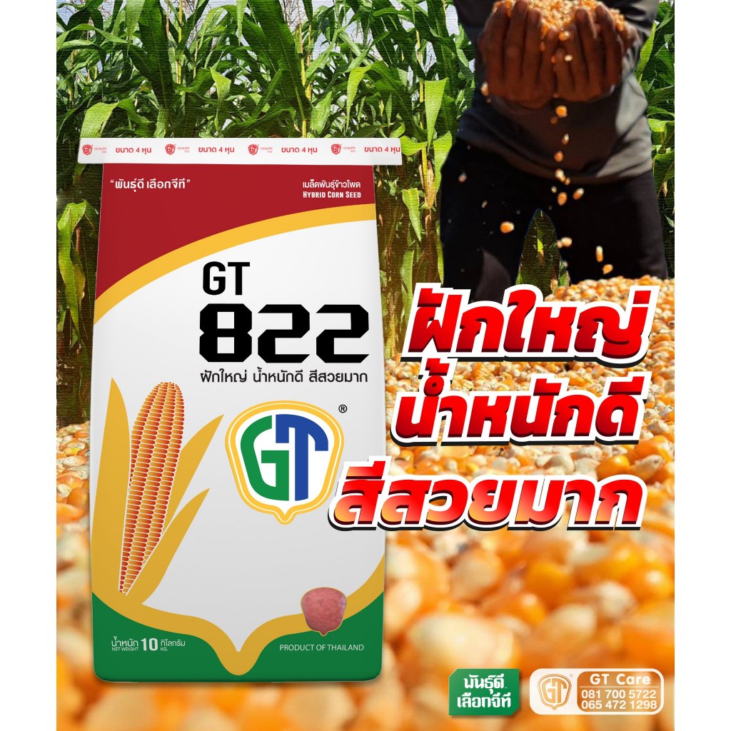 เมล็ดพันธุ์ข้าวโพดเลี้ยงสัตว์ GT 822/M (3.5 หุน) ขนาด 10 กก.