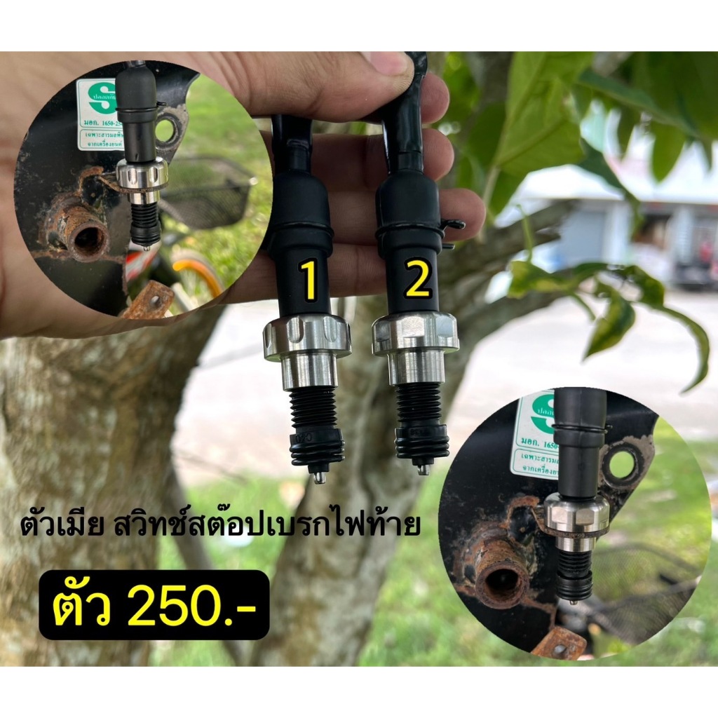 ตัวเมีย สวิทช์สต๊อปเบรกไฟท้าย