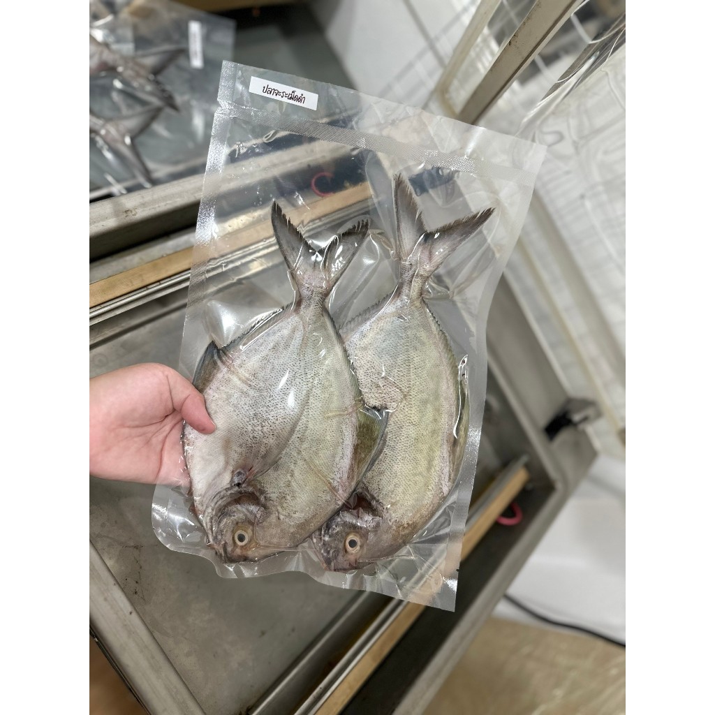 ปลาจะระเม็ดดำ ทำปลาแล้ว ขนาด2ตัว1กิโลกรัม 290บาท