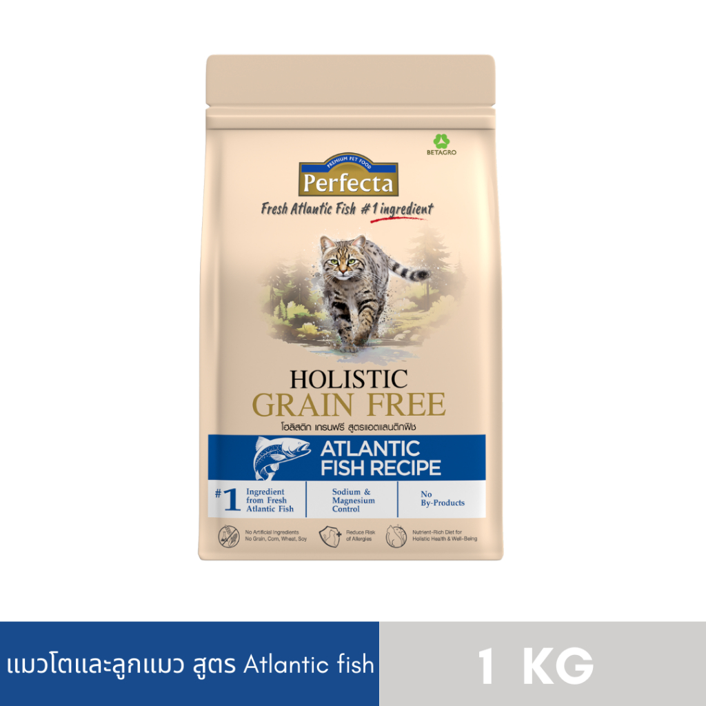 PERFECTA HOLISTIC GRAIN FREE แมวโตลูกแมว สูตร Atlantic fish 0.8 KG