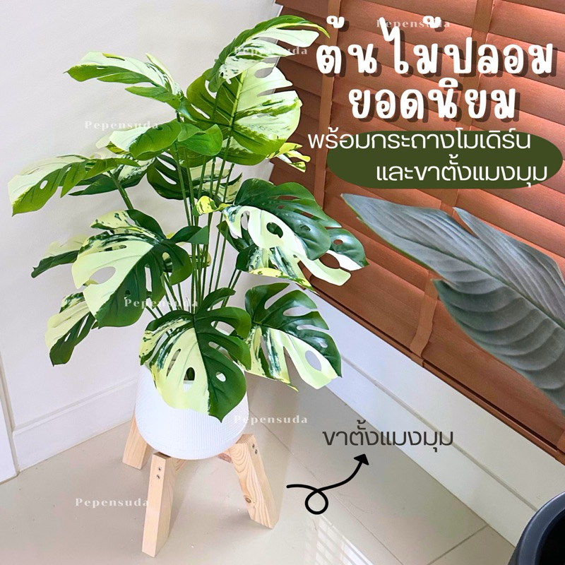 [รุ่นใหม่ ]ต้นไม้ปลอมมินิมอล 18 ใบ+ขาตั้งแมงมุม (สูง 90 ซม.) **แถมฟรีหินขาว ต้นไม้ปลอมพร้อมกระถางมินิมอล