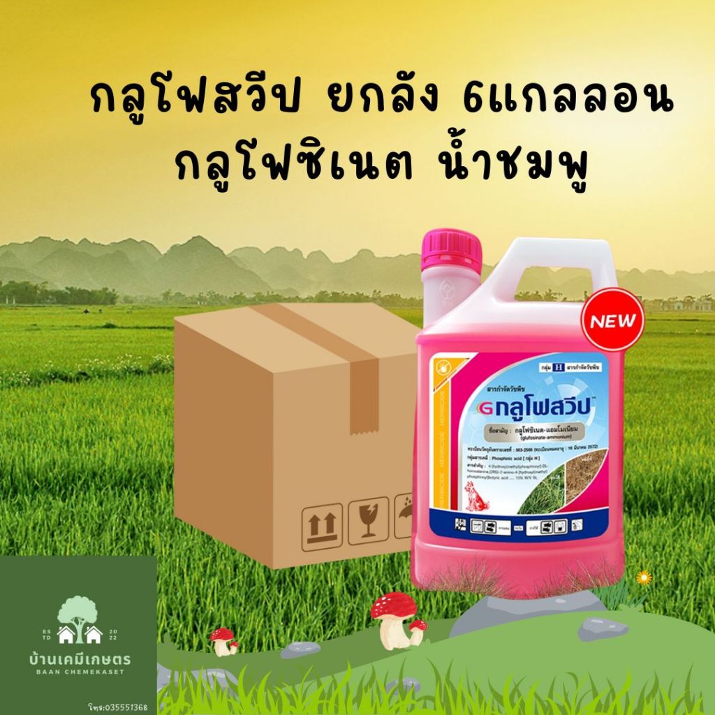 กลูโฟสวีป ยกลัง 6แกลลอน 4ลิตร กลูโฟซิเนตยกลัง