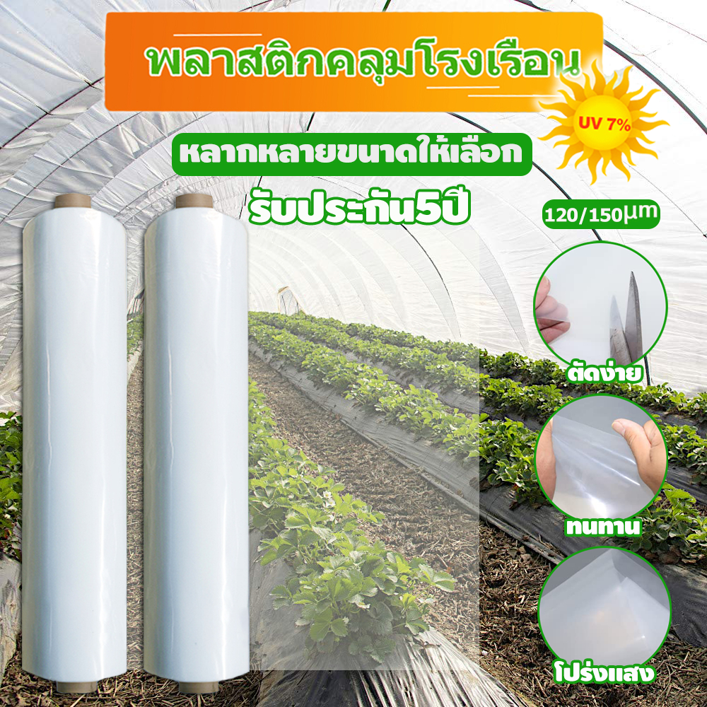 พลาสติกโรงเรือน พลาสติกใส พลาสติกคลุมโรงเรือน 3X5 6X10 เมตร ความหนา 120 150 ไมครอน UV7% คุม โรงเรือน ผ้ายางคลุมโรงเรือน