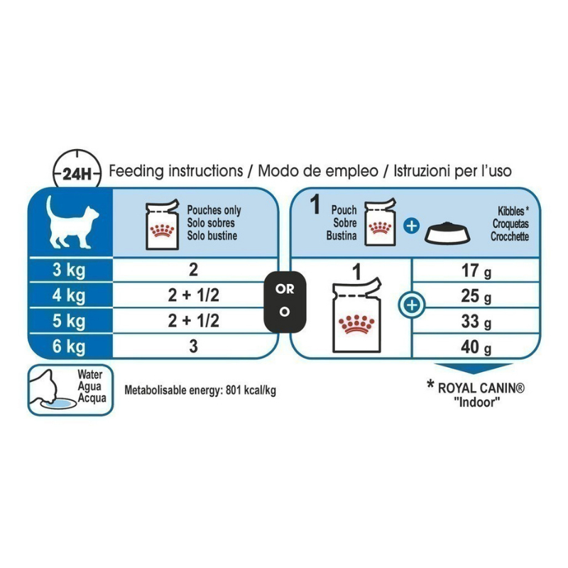 Royal Canin طعام قطط منزلية رطب بالجيلي (12 كيساً) — صورة 4