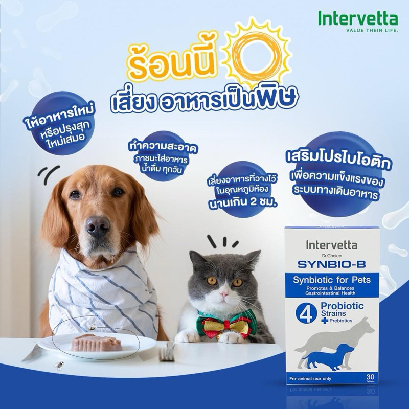 Intervetta Synbio-b (หมดอายุ 01/27) โพรไบโอติก + พรีไบโอติก เพื่อปรับสมดุลลำไส้ ทางเดินอาหาร สำหรับสุนัข-แมว