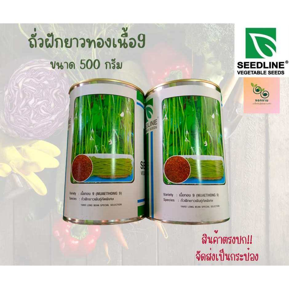 เมล็ดถั่วฝักยาวทองเนื้อ9 ขนาด 500 กรัม