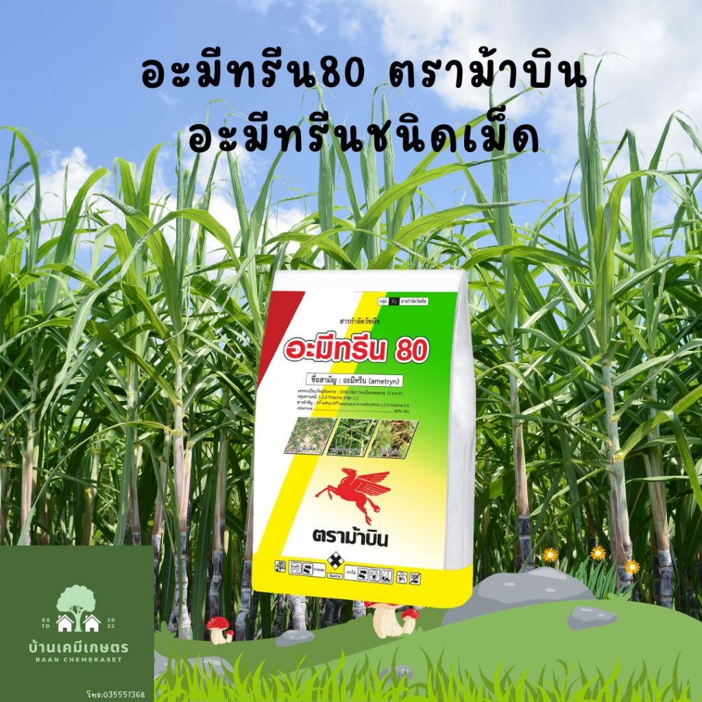 อะมีทรีน80 ชนิดเม็ด ขนาด 1กก สารกำจัดวัชพืชในไร่อ้อย