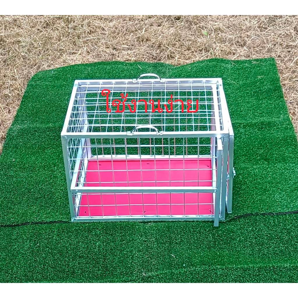 กรงฉีดยาแมว กรงพยาบาลแมว และสัตว์อื่นๆกรงนี้จะมีหูจับเพื่อความสะดวกในการยก และจะปูพื้นเหยียบให้ด้วยเพื่อกันขาแมวตกช่อง - รูปที่ 4