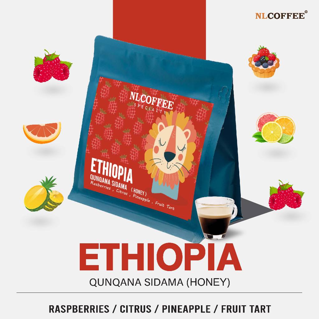 NLCOFFEE SPECIALTY เมล็ดกาแฟ Ethiopia Sidama Qunqana (Honey)