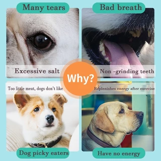 【CAT&DOG】ขนมขบเคี้ยวสัตว์เลี้ยงเพื่อสุขภาพและอร่อยไก่กระตุกอาหารสัตว์เลี้ยงสุนัขอาหารสัตว์เลี้ยงรักษาสุนัขรักษาทันตก