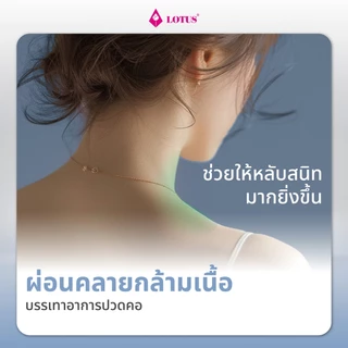 LOTUS หมอนข้างเพื่อสุขภาพ รุ่น Sleepy ป้องกันไรฝุ่น ใยสังเคราะห์