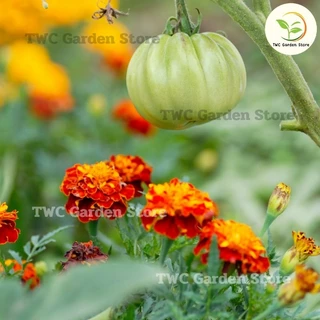 ปุ๋ยอินทรีย์ 100% Organic Fertilizer เร่งการเจริญเติบโต ปุ๋ยผักสวนครัว ไม้ดอก ไม้ประดับ ไม้ผล