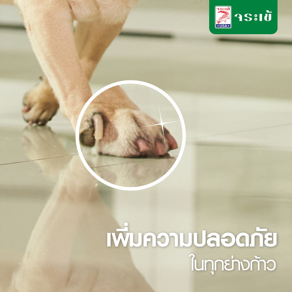 จระเข้ สเปรย์กันลื่น ควิก ฉีดทิ้งไว้ 5 นาที หายลื่น กดสั่ง 2 ขวด จ่ายแค่ 598.- บาท ปลอดภัย ใช้ง่าย ราคา ถูกที่สุด ดีลบีเคเค แกลเลอรีภาพที่ 3