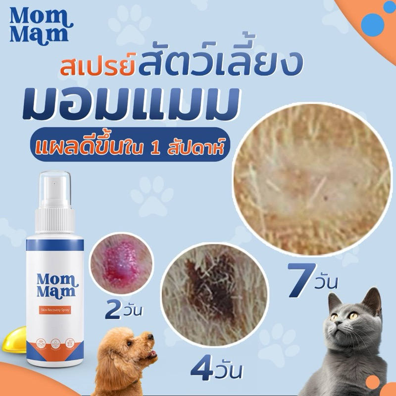 MomMam สเปรย์มอมแมม พ่นแผลแห้งเร็ว พ่นเชื้อรา น้องเลียได้ ปลอดภัย ขนาด 50 ml.