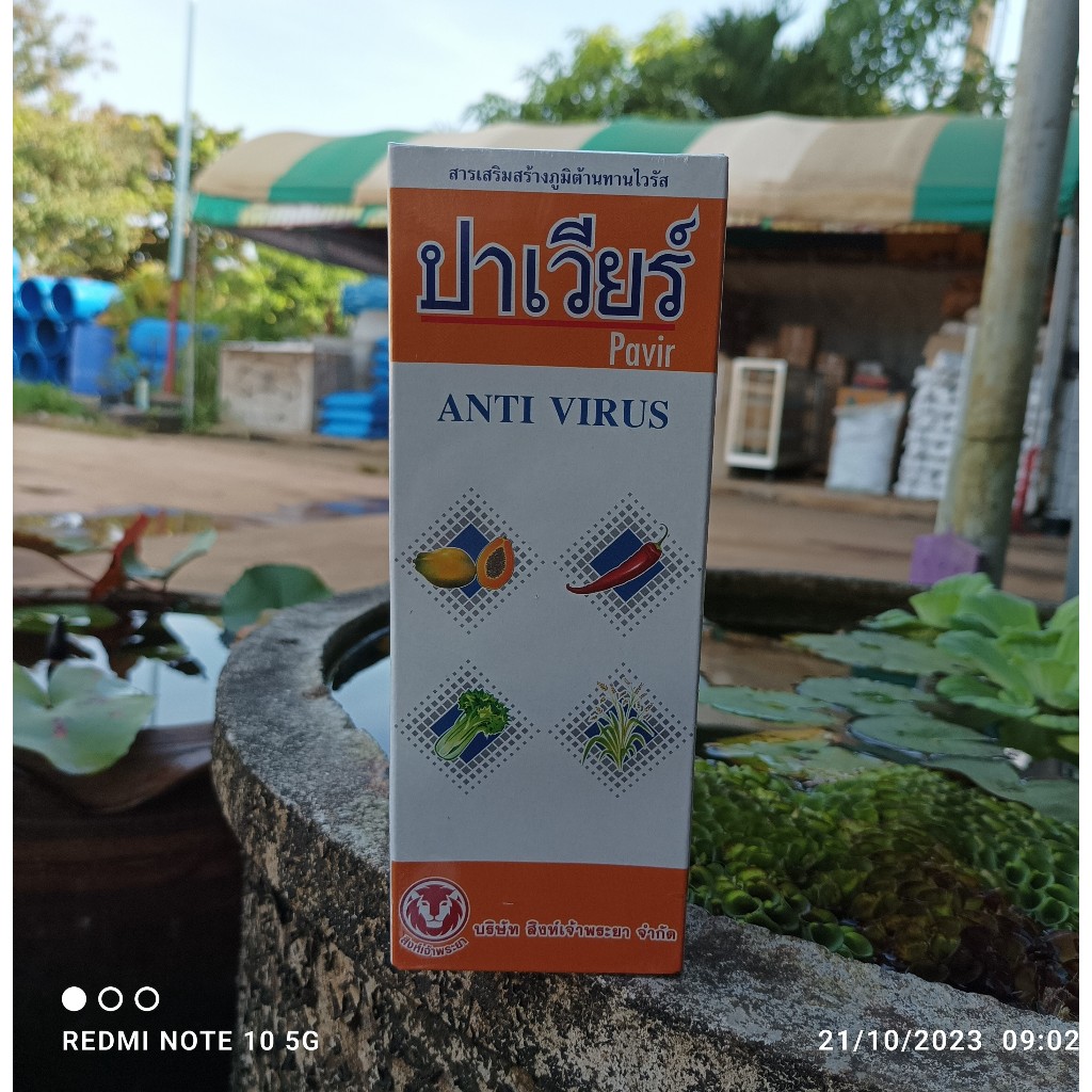 ปาเวียร์ ยาสร้างภูมิต้านทานไวรัส โรคใบหงิกเหลืองในพริก โรคจุดวงแหวนมะละกอ ถั่ว มะเขือเทศ ขนาด500ซีซี