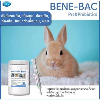 Benebac Plus Gel 30g ช่วยย่อย เสริมภูมิ สุนัข แมว กระต่าย พรี+โพรไบโอติก