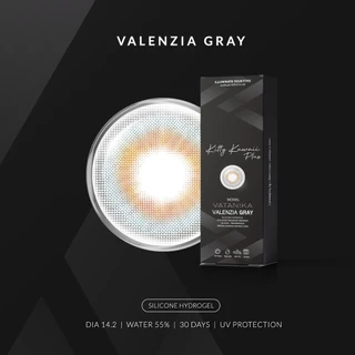 VATANIKA LENS : Valenzia Gray คอนแทคเลนส์โดย แพร วทานิกา