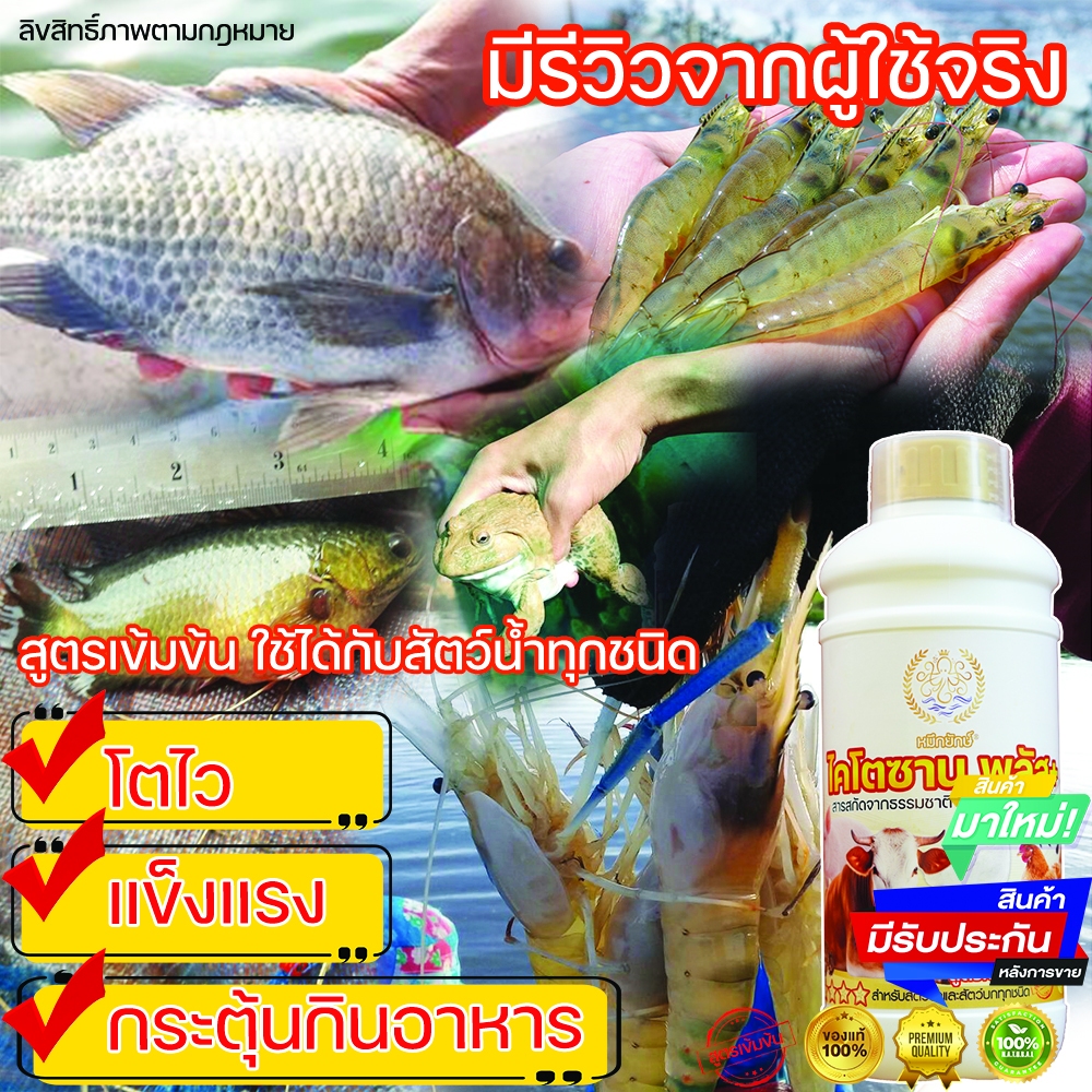 ไคโตซานเร่งโตปลา กบ  สัตว์น้ำ ขนาด 1 ลิตร ตรา หมึกยักษ์