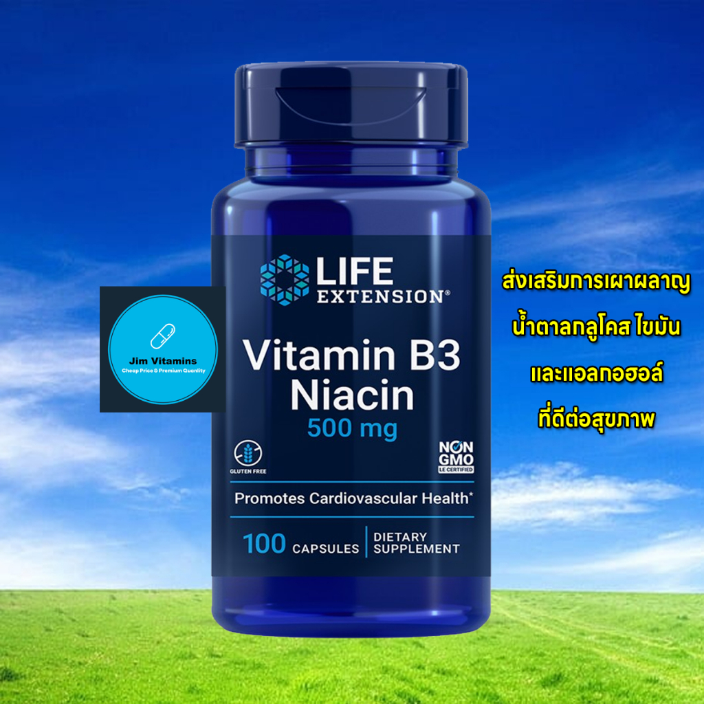 Life Extension Vitamin B3 Niacin 500 mg / 100 Capsules