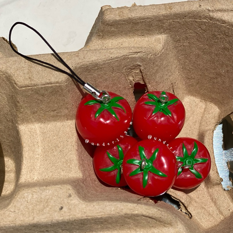 พร้อมส่ง!! ₊˚ପ⊹ Tomato Keychain พวงกุญแจมะเขือเทศ พวงกุญแจห้อยมือถือ เฟรมการ์ด กระเป๋า ₊˚ꕊ⊹
