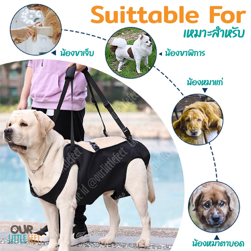 ผ้าพยุงสุนัขแบบยกทั้งตัว ชนิดสวมขา ผ้าระบายอากาศ ใส่ได้นาน