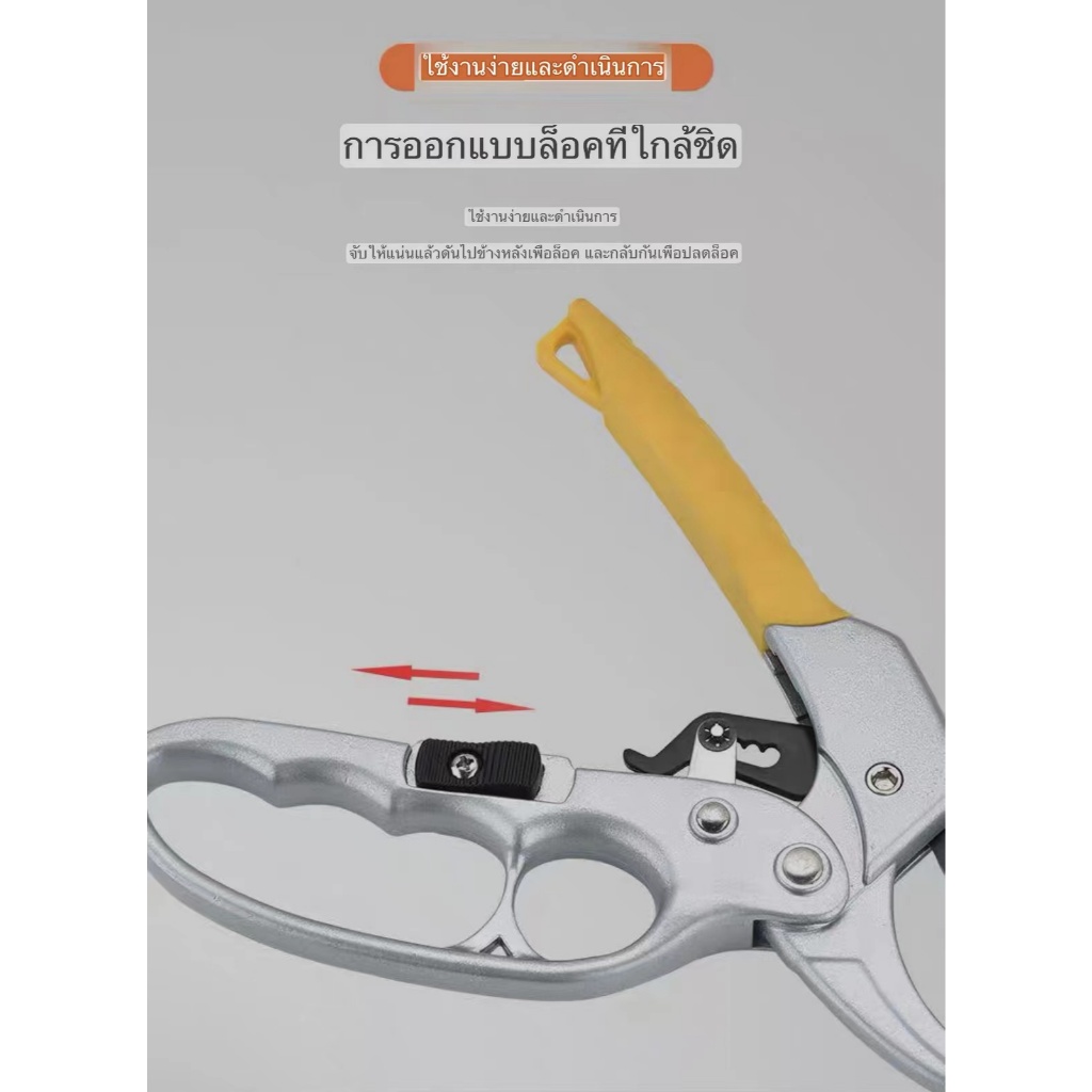 กรรไกรตัดกิ่งไม้ 3 จังหวะ ใบมีด SK5 แท้ เกรดอุตสาหกรรม (สำหรับงานหนัก)ของดีT65 - รูปที่ 3