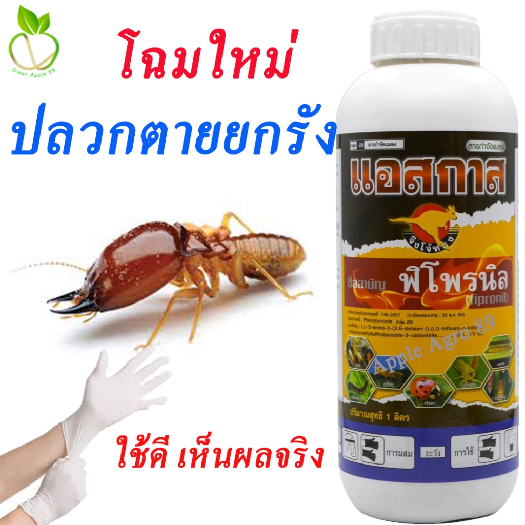 กำจัดปลวก แอสกาส พิโพรนิล ขนาด 1 ลิตร ยากำจัดปลวก ยาฆ่าปลวกยกรัง แอสเซน กำจัดปลวกมด ยาปลวกปลวก ยากันปลวก แอสเซนต์