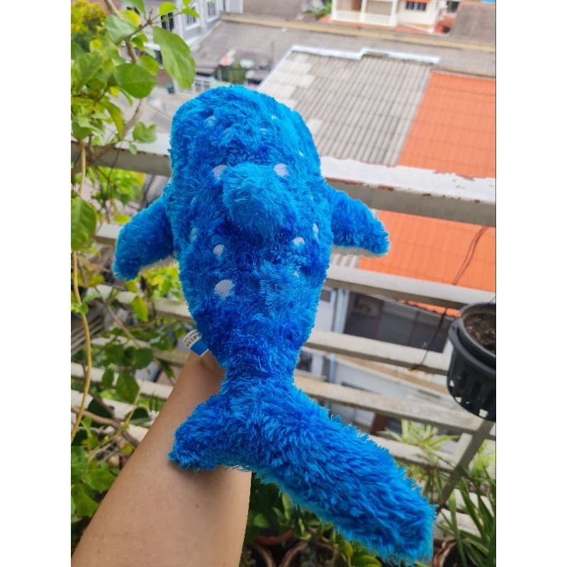 ตุ๊กตา ฉลามวาฬ งาน okinawa churaumi aquarium นุ่มๆ น่ารัก