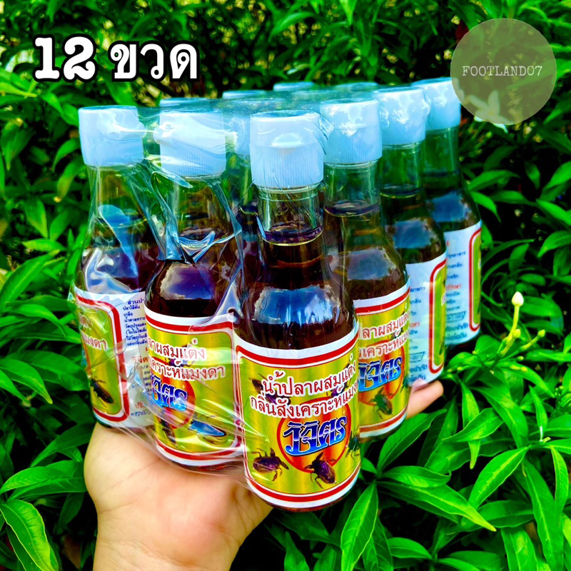 (12ขวด)น้ำปลาแมงดาแท้ น้ำปลากลิ่นแมงดา ตราวิจิตร 60มล. จากแม่กลอง /Pork flavored fish sauce 60ml