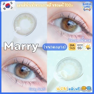 คอนแทคเลนส์ Marry Brown / Gray / Almond Brown (Montra) ขนาดกลาง 💙 เลนส์ทูโทน ตานัว ลดตาลอย