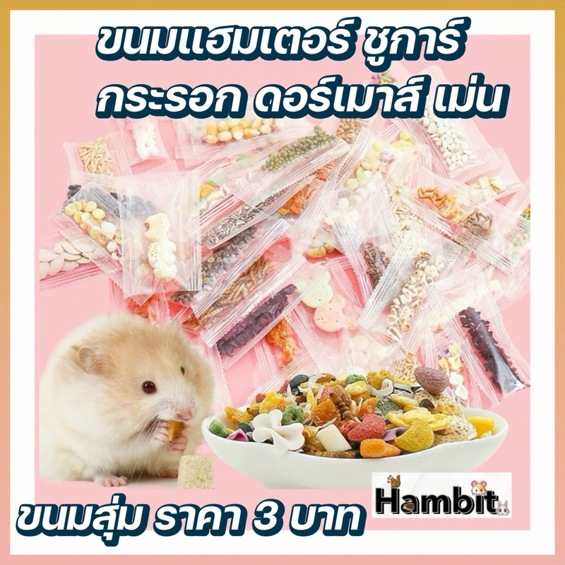 Hambit. ขนมแฮมเตอร์ ดอร์เม้าส์ เม่น กระรอก ชูการ์ แบบสุ่ม ซองละ 3 บาท