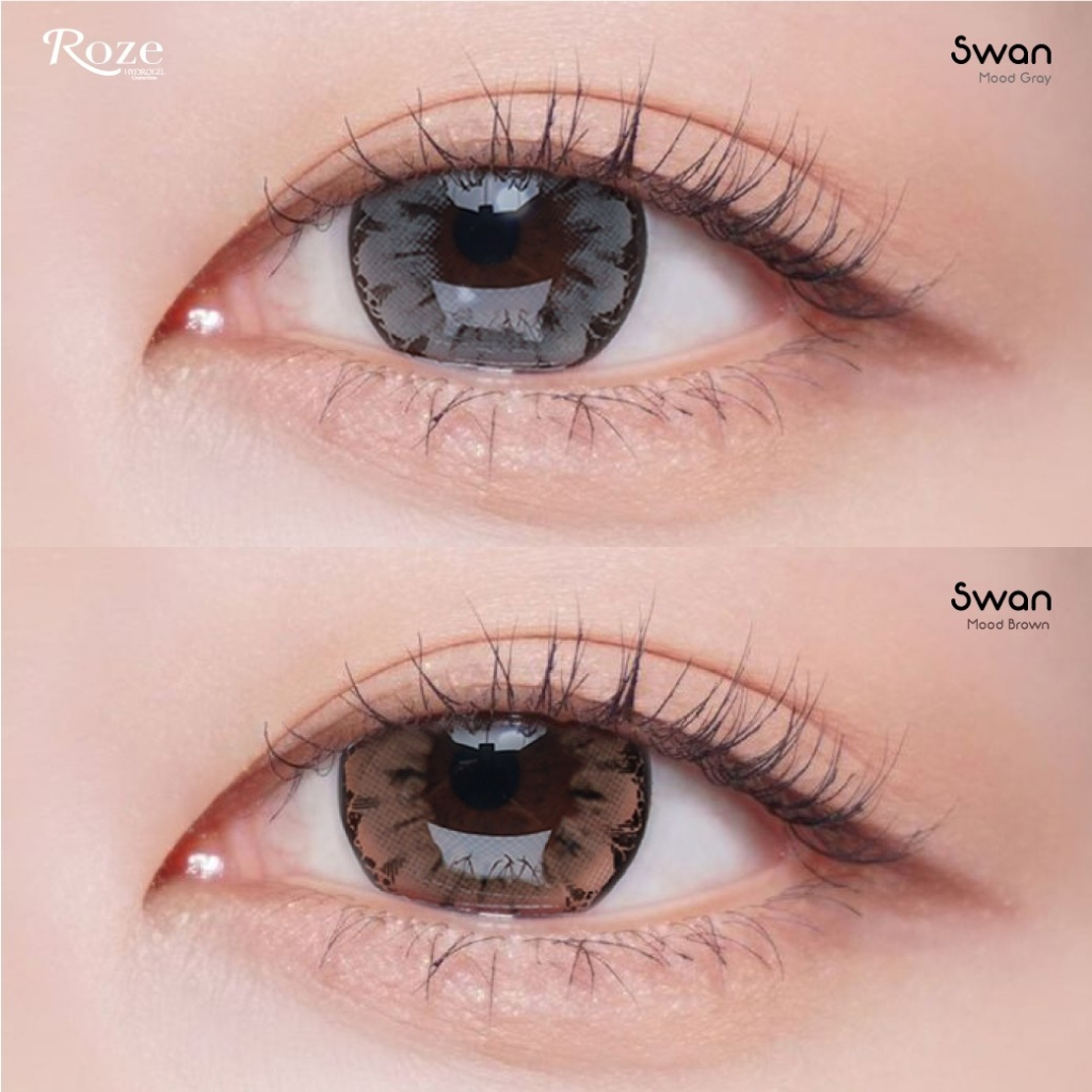 🔥คอนแทคเลนส์ Hydrogel✨ขนาดบิ๊กอาย✨ Swan (Rozelens)