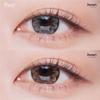 🔥คอนแทคเลนส์ Hydrogel✨ขนาดบิ๊กอาย✨ Swan (Rozelens)