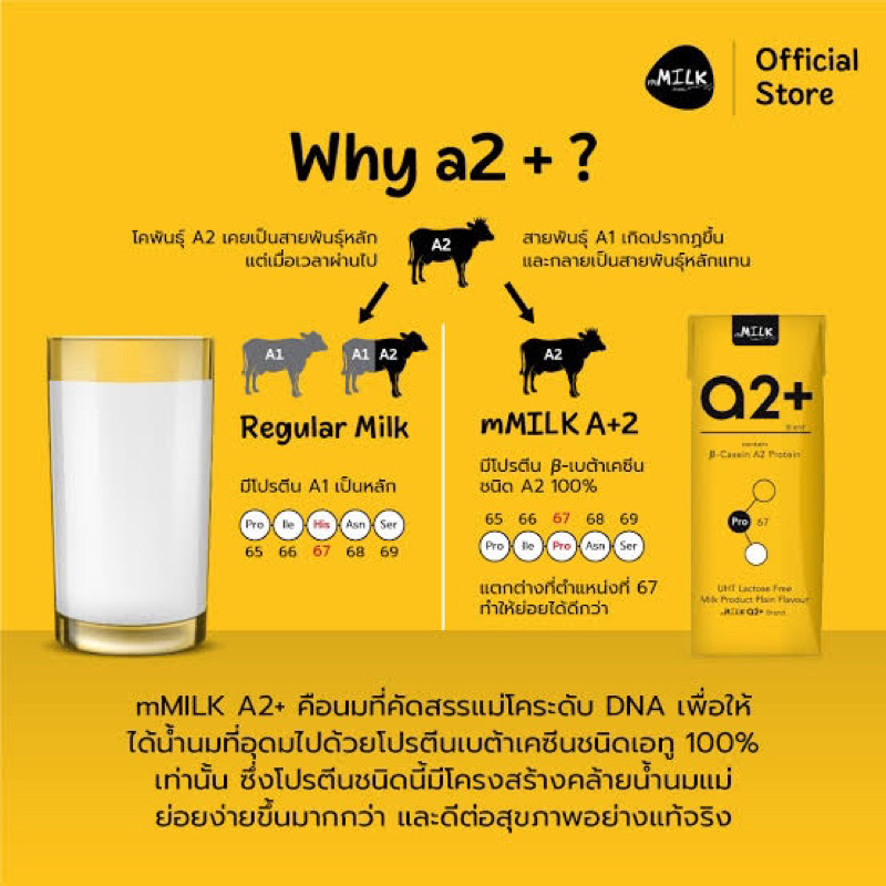 ะร้อมส่งแพ็ค2กล่อง mMilk a2+ น้ำนมแลคโตสฟรี นมทางเลือกเพื่อสุขภาพ โครงสร้างคล้ายนมแม่ fl