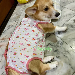 🇹🇭พร้อมส่งจากไทย❗️เสื้อทำหมัน ชุดกันเลียแมว ชุดกันเลียหมา ใส่หลังผ่าตัด กันเลียแผล พร้อมส่งมีหลายไซส์