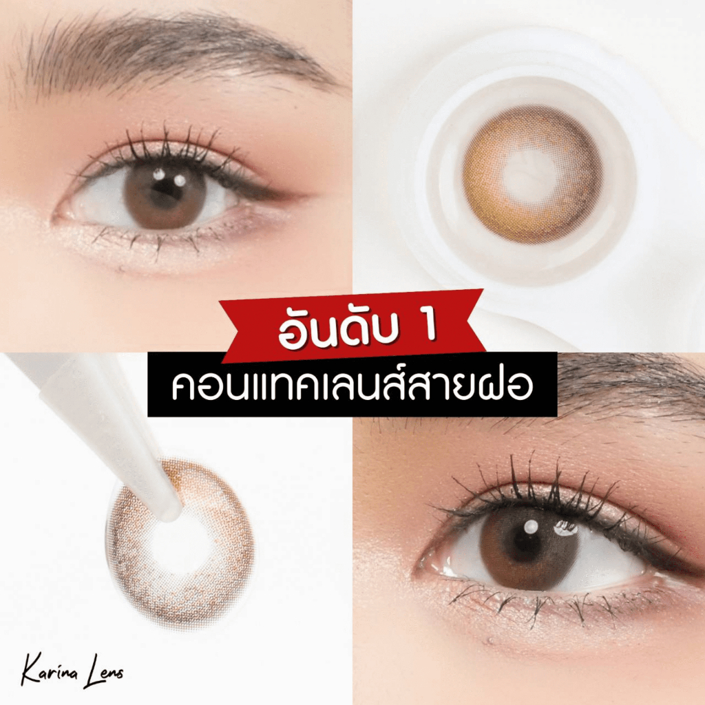 คอนแทคเลนส์ Karina Lens รุ่น Topaz Brown รายเดือน วัสดุ Hema  ค่าอมน้ำ 42% DIA 14.2 BC. 8.5 mm ค่าสา