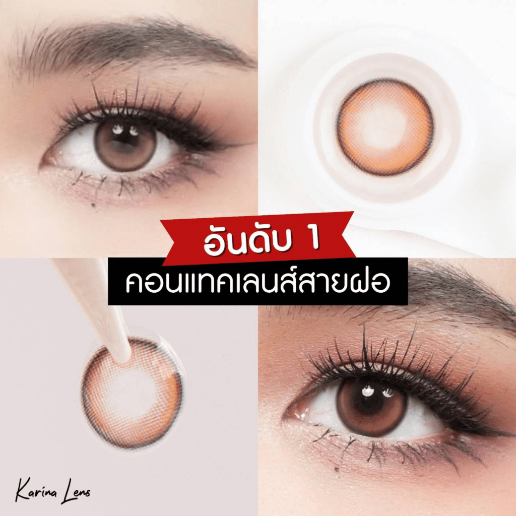 คอนแทคเลนส์ Karina Lens รุ่น Stone Brown รายเดือน วัสดุ Hema  ค่าอมน้ำ 42% DIA 14.2  BC. 8.5 mm ค่าส